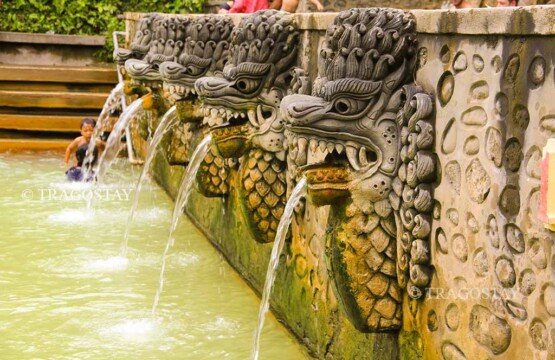 The famous tier of carved stone dragon head spouts pouring warm mineral water into the swimming basin at Banjar Hot Springs.