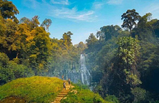 A beautiful wide overview of Banyumala Waterfall showing its multiple delicate, curtain-like streams rushing down a lush, vine-covered cliffside.