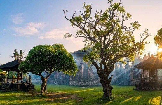 A peaceful morning landscape view of Beji Temple showcasing various sacred shrines built with traditional Balinese architecture.
