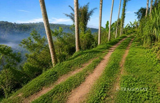 A scenic concrete access path leading to Bunutin Waterfall, overlooking a stunning green river valley and deep ravines.