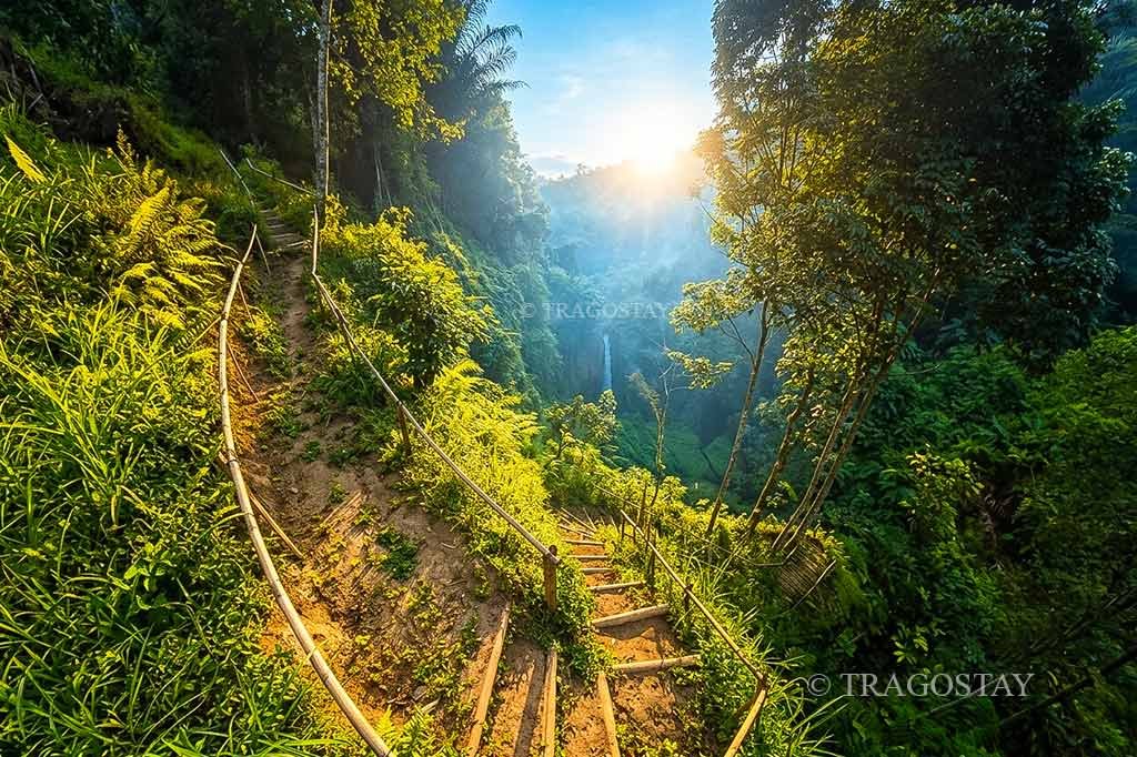 A high-angle overview of Bunutin Waterfall peeking through a thick, vibrant green canopy of tropical rainforest.