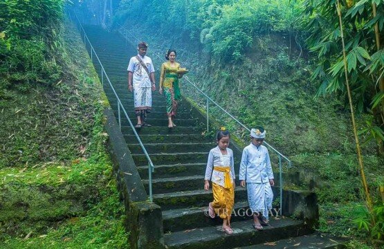 A Balinese Hindu family in formal ceremonial attire walking down a flight of stone steps within the lush Dalem Balingkang Temple grounds.