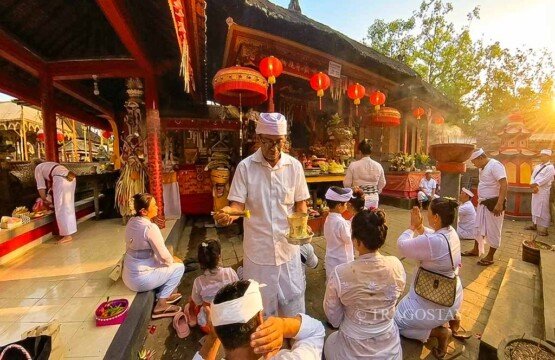 Balinese Hindu worshipers praying solemnly in front of the unique Chinese-style Pura Ratu Gede Sahbandar inside the Dalem Balingkang Temple complex.