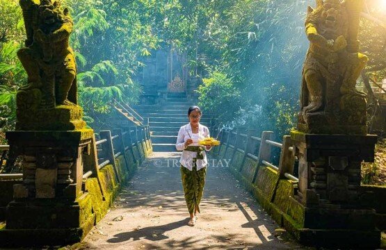 A Balinese woman gracefully walking across a stone bridge at Dalem Balingkang Temple while carrying a traditional Canang Sari offering in her hands.