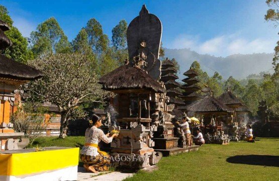 Several Balinese Hindu women in traditional clothing gently placing colorful canang offerings at a beautifully carved stone shrine inside Pura Dalem Balingkang.