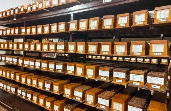 Rows of authentic historical wooden storage boxes (keropak) used to systematically keep and protect precious lontar manuscripts at Gedong Kirtya Museum.