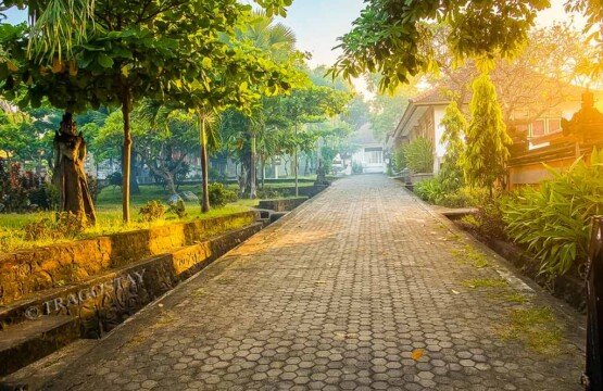 The clean asphalt access road and pedestrian pathway leading directly to the front entrance of Gedong Kirtya Museum in Singaraja.