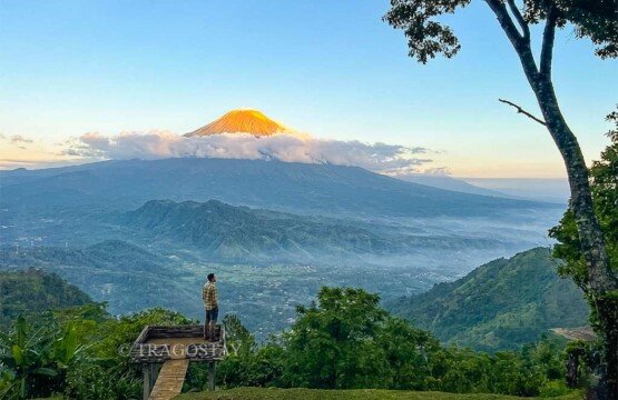 A male traveler standing on a wooden platform at Lahangan Sweet with a panoramic morning view of the volcano.
