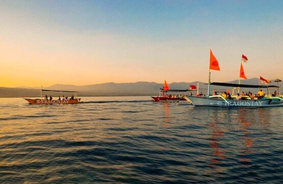 A mid-ocean view from Lovina Beach showing several traditional motorized outrigger boats filled with tourists during a morning dolphin watching tour.