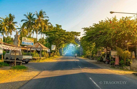 A scenic view of the quiet main coastal road near Lovina Beach, showcasing a peaceful and authentic Balinese rural village atmosphere.