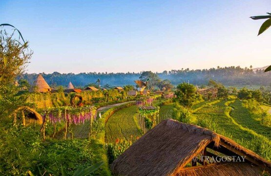 A wide panoramic overview of the Maha Gangga Valley landscape captured from a distance at sunrise.
