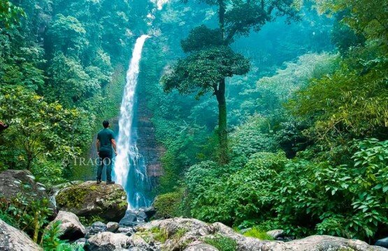 A male adventurer standing confidently on a massive river rock, looking toward the high cascading stream of Gitgit Waterfall.
