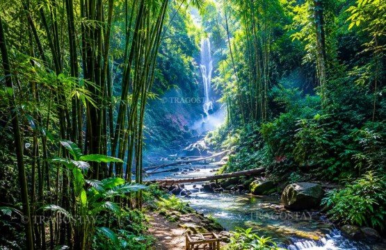 The tall, powerful white stream of Melanting Waterfall plunging down a rocky cliff completely enclosed by a dense green bamboo forest.