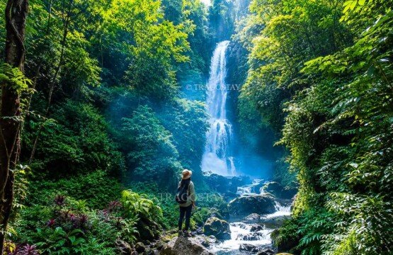 A striking landscape view of the thundering Melanting Waterfall showing why it is perfect as an eco-tourism destination in North Bali.