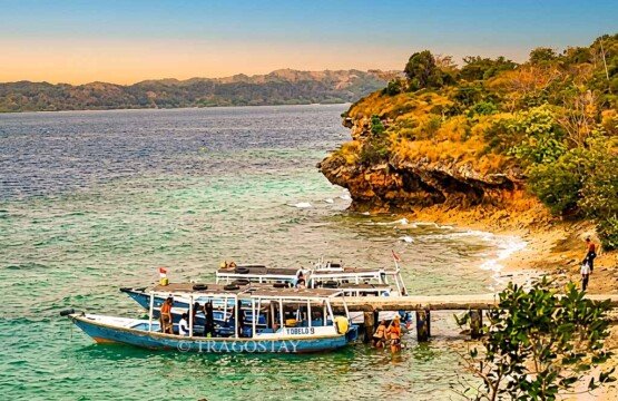 A lively scene at the main jetty on Menjangan Island with tour boats docked and travelers preparing for snorkeling and diving trips.