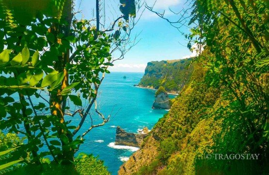 A scenic view of the blue ocean peeking through green leaves from the cliffs of Peguyangan Waterfall.