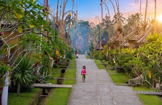 Local Balinese children playing happily in front of traditional houses at Penglipuran Village during a peaceful afternoon.