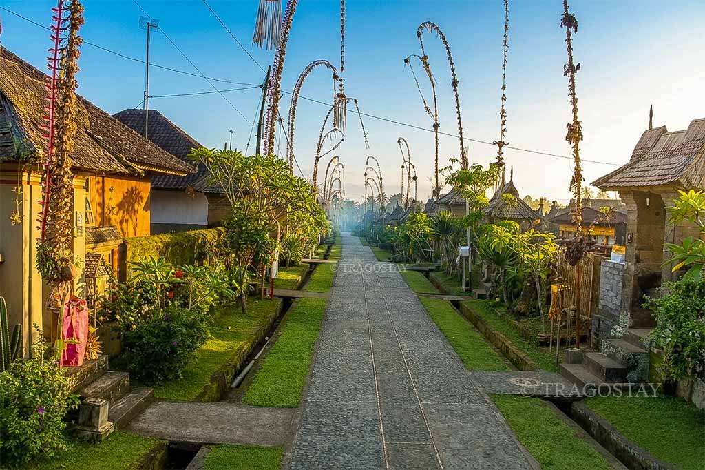 A scenic view of the incredibly clean and neat stone pathway of Penglipuran Village under a bright afternoon sky.