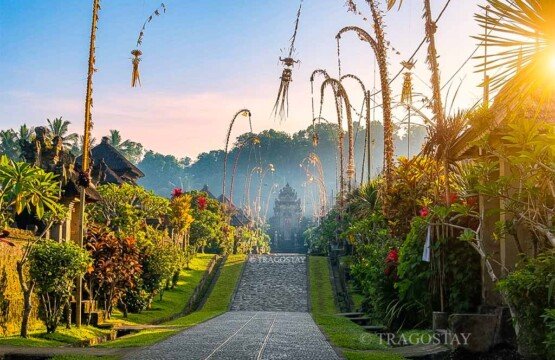 A bright morning view of Penglipuran Village with tall, decorative bamboo penjor poles lining the front of every home.