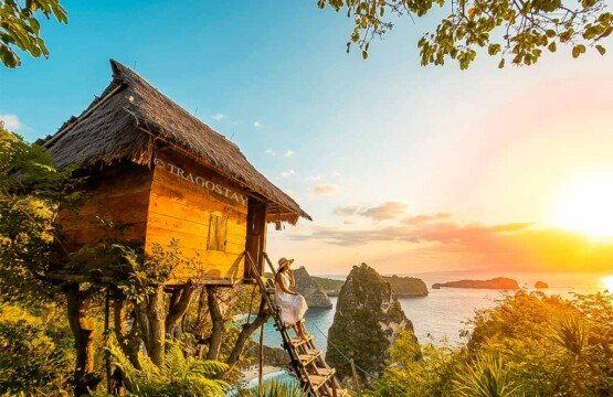 A female traveler sitting on the wooden ladder of the Rumah Pohon treehouse during a bright afternoon.