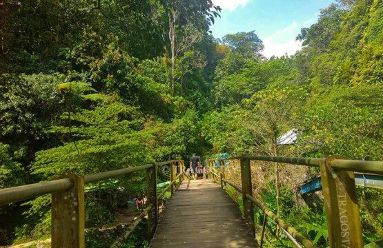 A sturdy footbridge built across a rushing mountain river, serving as the main access path for hikers traveling toward Sekumpul Waterfall.