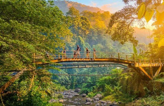 A family of tourists walking across a scenic footbridge surrounded by the enchanting natural landscapes and lush forests of Sekumpul Waterfall.