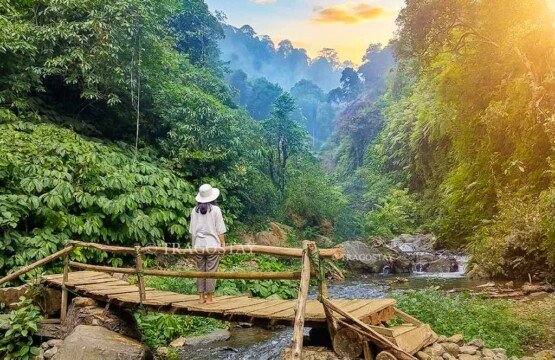 A female traveler standing on a secure wooden bridge, looking out at the beautiful green valley and river stream at Sekumpul Waterfall.