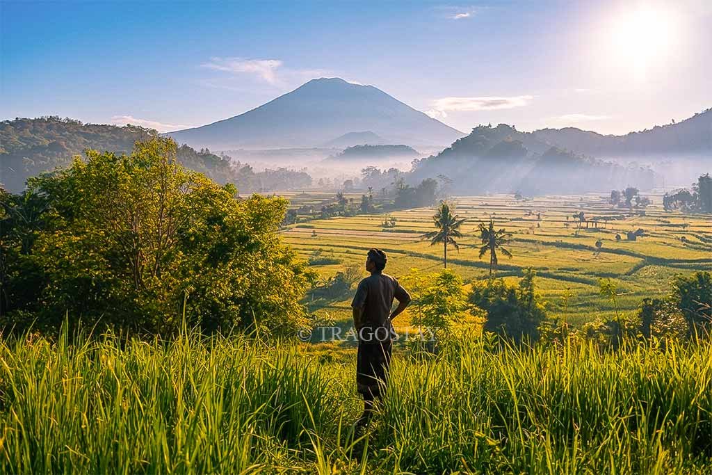 A man standing at a viewpoint overlooking the vast green valley and Mount Agung at Sidemen Rice Terrace.