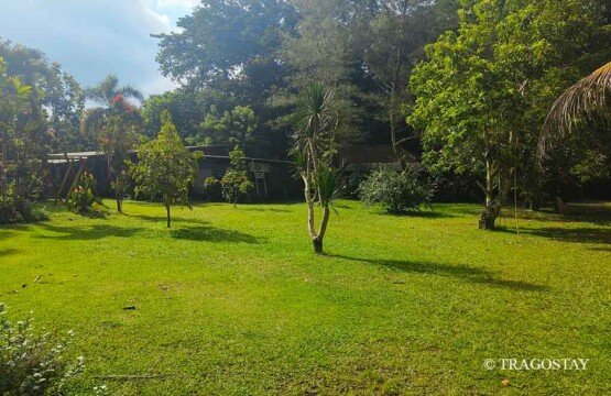 Wide green Tanah Wuk camping ground at Bali tourist attractions for outdoor activities.