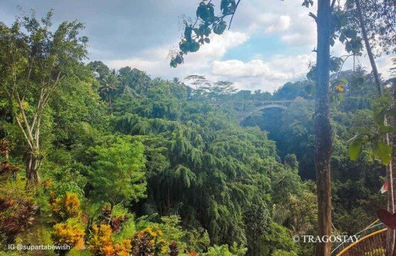 Tanah Wuk surrounded by tropical forest and deep valleys at Bali tourist destinations.