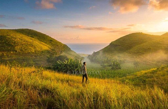 A man standing on a grassy hill enjoying the afternoon landscape of the rolling Teletubbies Hill in Nusa Penida.