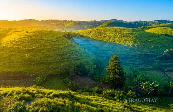 A wide-angle overview of the vibrant green mounds at Teletubbies Hill under a clear morning sky.