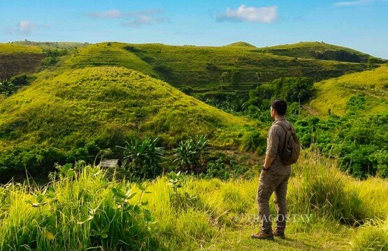 A male traveler standing on a grassy ridge enjoying the panoramic views of the hills at Teletubbies Hill.