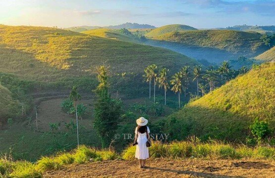 A female traveler standing and gazing at the beautiful green hills of Teletubbies Hill on a bright morning.