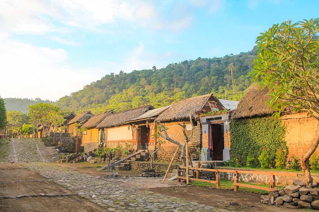 Traditional stone and bamboo houses lined up during a golden afternoon at Tenganan Pegringsingan Village.
