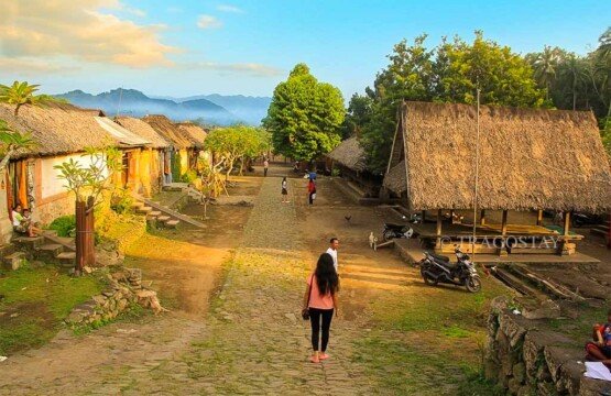 A high-angle aerial view of the Tenganan Pegringsingan Village layout from the northern hills.