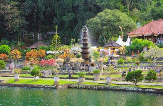 Lush fertile tropical jungle providing a scenic green backdrop for the Tirta Gangga Water Palace.