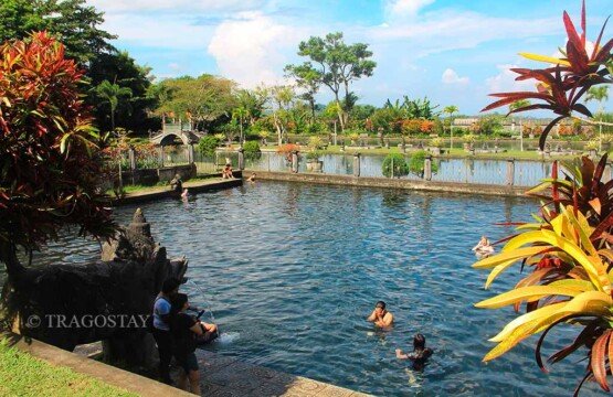 The historic public swimming pool at Tirta Gangga Water Palace filled with fresh mountain spring water.