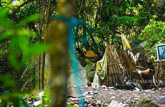 A view of the sacred burial ground in Trunyan Village where bodies are placed on the ground inside traditional woven bamboo cages (Ancak Saji).