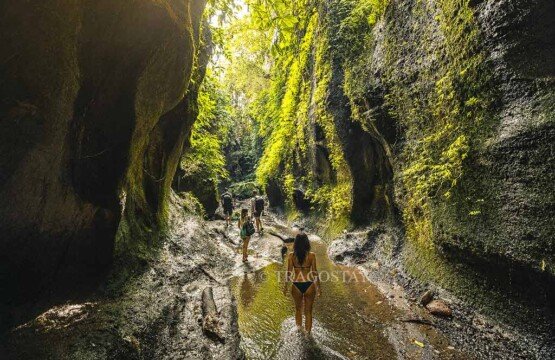 A group of international tourists walking through a shallow river flanked by towering, mossy cliffs heading toward Tukad Cepung.