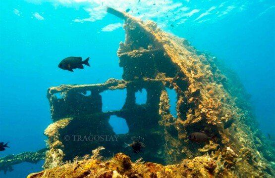 The underwater remains of the USAT Liberty Shipwreck resting in the depths of Tulamben.