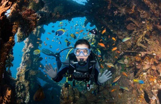 A scuba diver exploring the coral-covered USAT Liberty Shipwreck at Tulamben Beach.