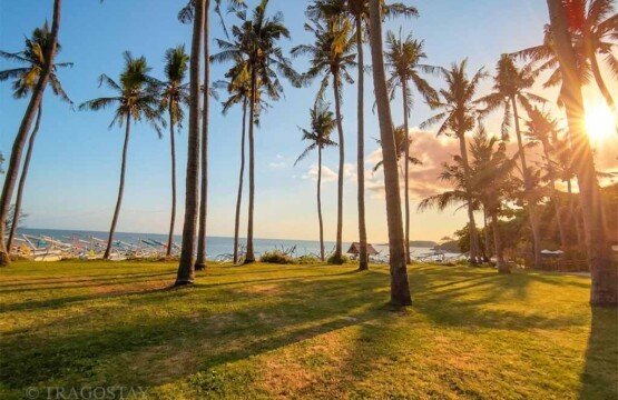 The golden glow of sunset seen through the silhouette of palm trees at Virgin Beach Bali.