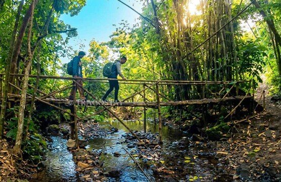 A rustic traditional bamboo bridge crossing a stream on the path to Yeh Labuh Waterfall.