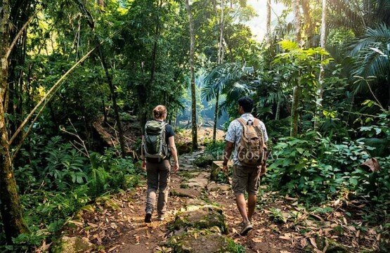 Adventurous travelers trekking through the tropical rainforest toward the hidden Yeh Labuh Waterfall.