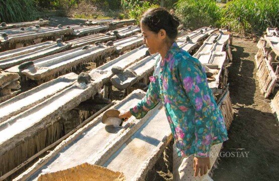 A female artisan carefully scraping and harvesting newly formed white sea salt crystals from wooden evaporation trays.